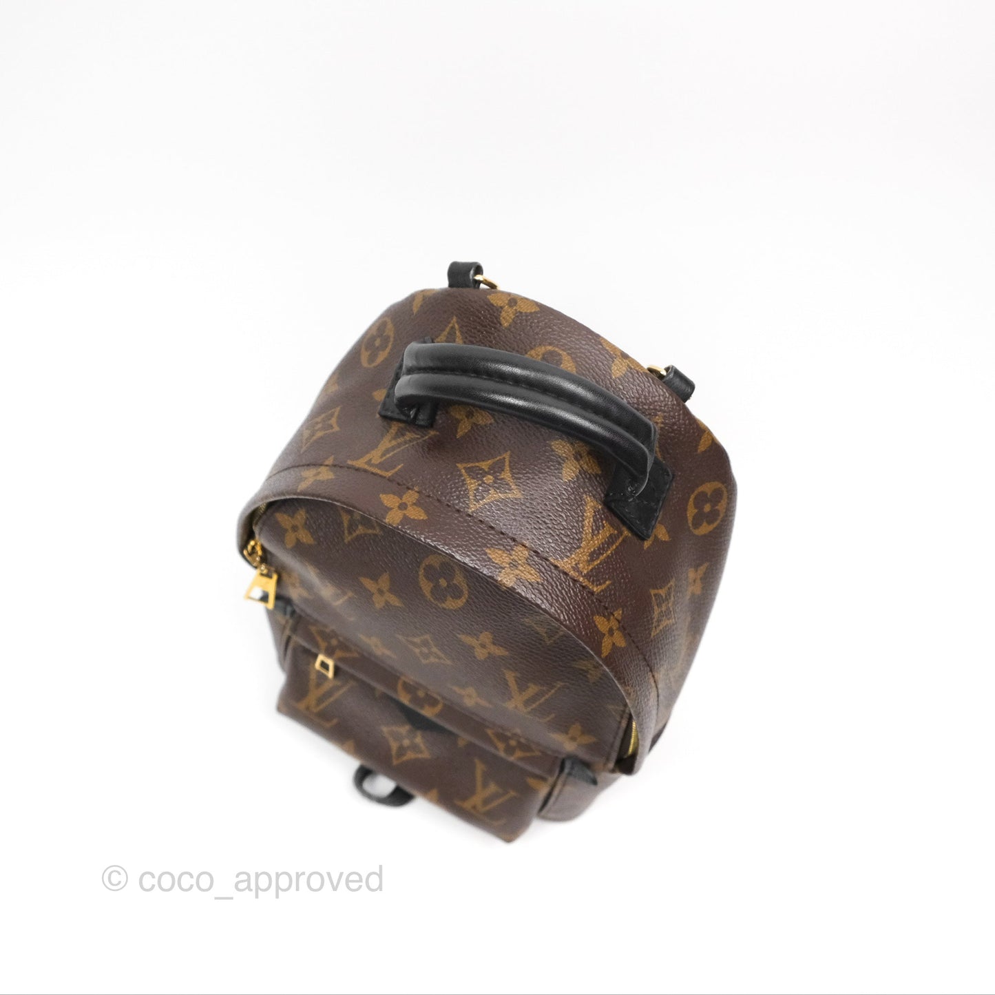 Louis Vuitton Mini Palm Springs Backpack⁣ Monogram
