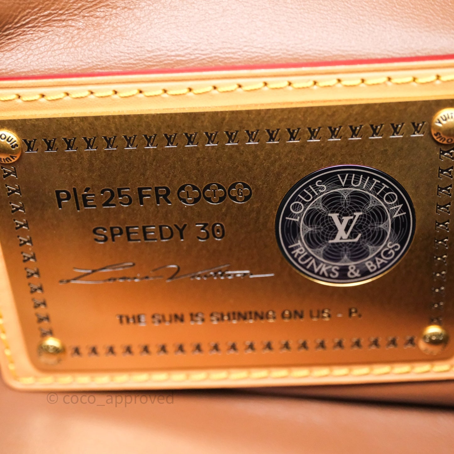 Louis Vuitton Speedy P9 Bandouliere 30 Vert Clair Bag