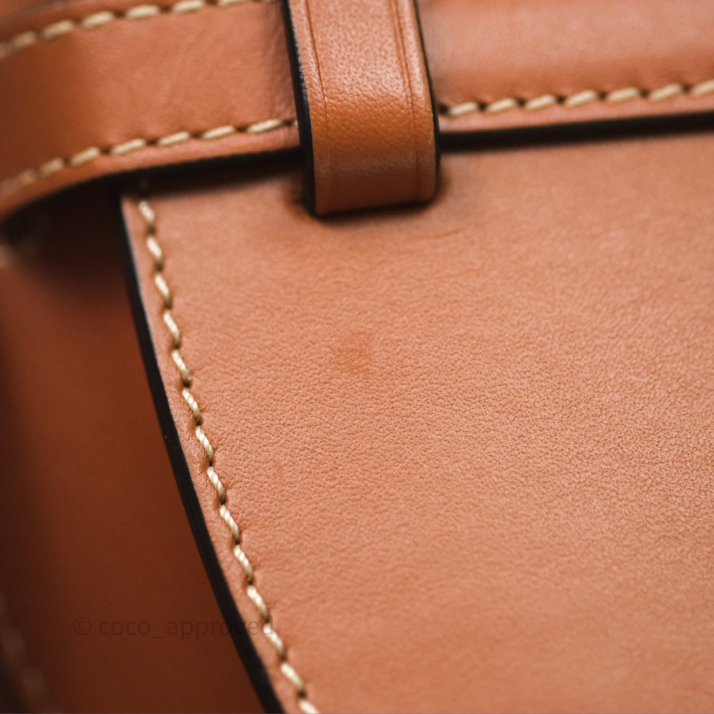 Loewe Mini Gate Belt Bag in Soft Calfskin Brown