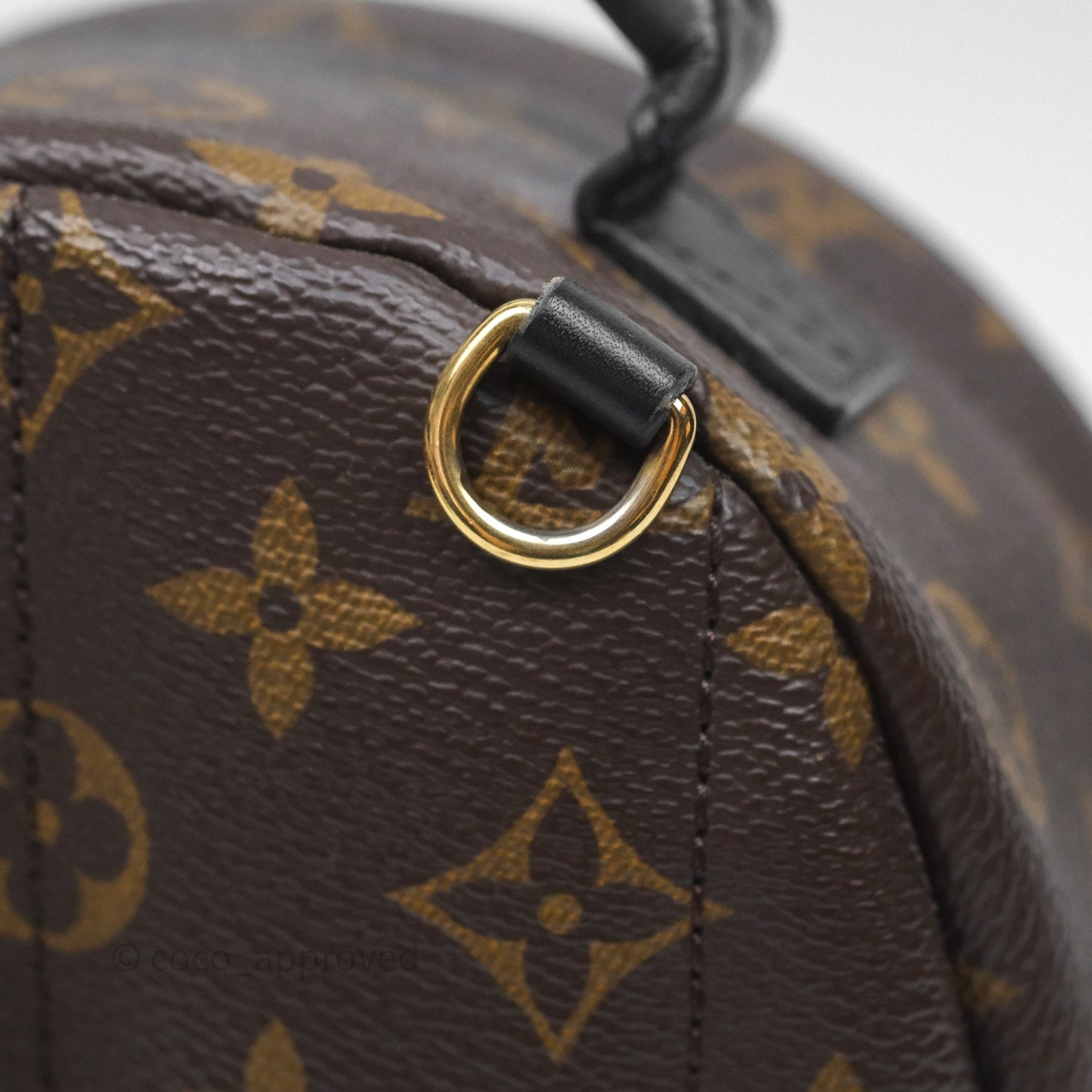 Louis Vuitton Mini Palm Springs Backpack⁣ Monogram