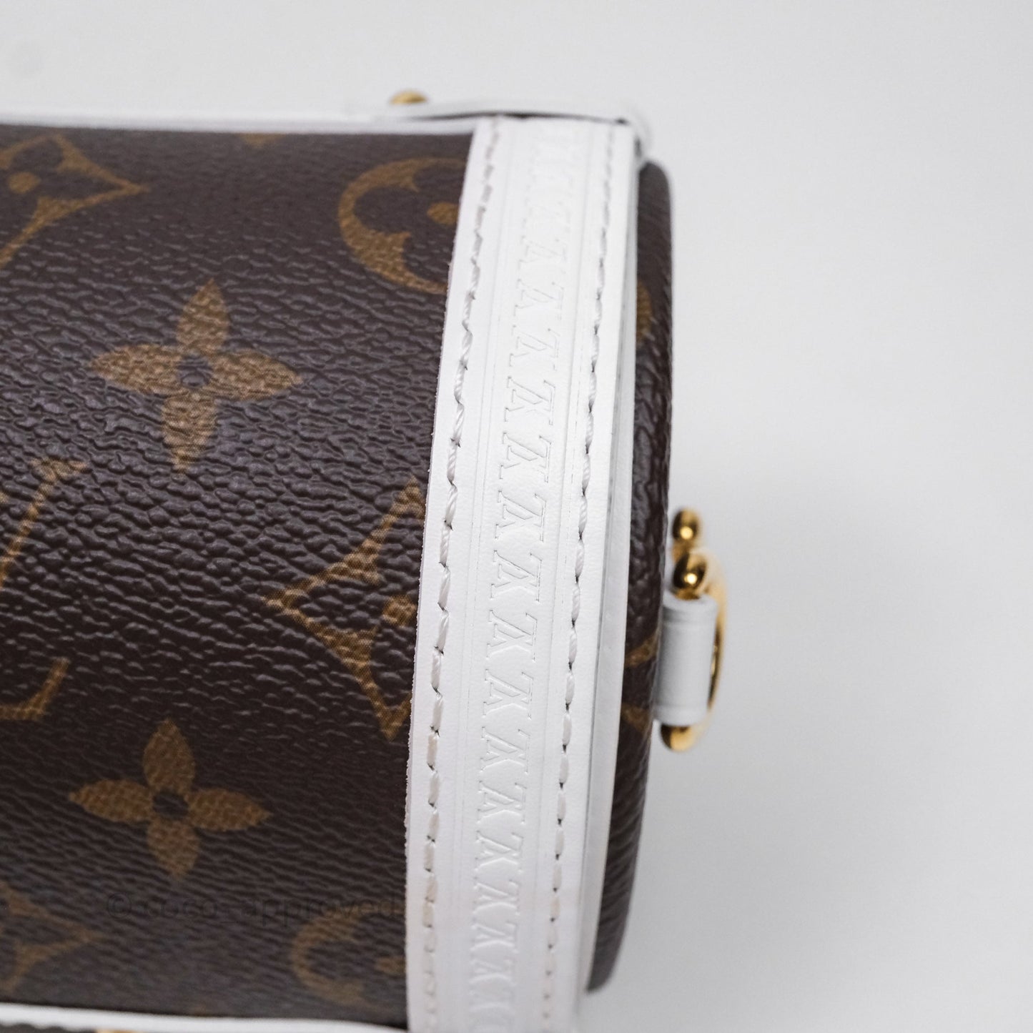 Louis Vuitton Monogram Papillon Trunk Bag