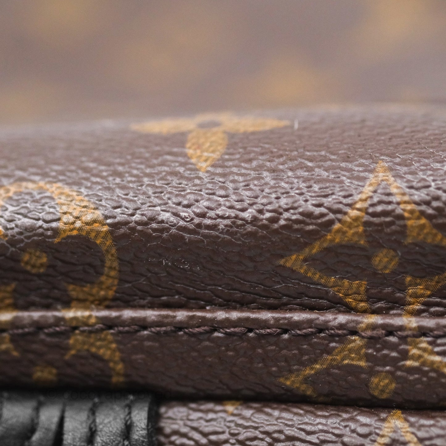Louis Vuitton Monogram Mini Palm Springs Backpack⁣