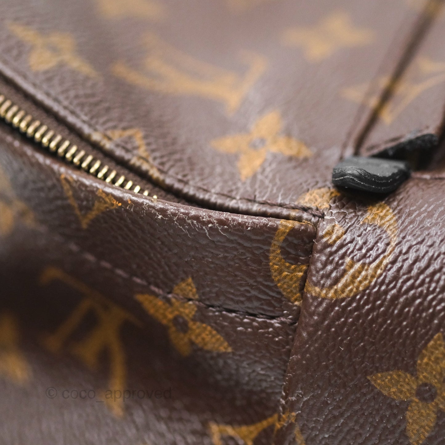 Louis Vuitton Monogram Mini Palm Springs Backpack⁣