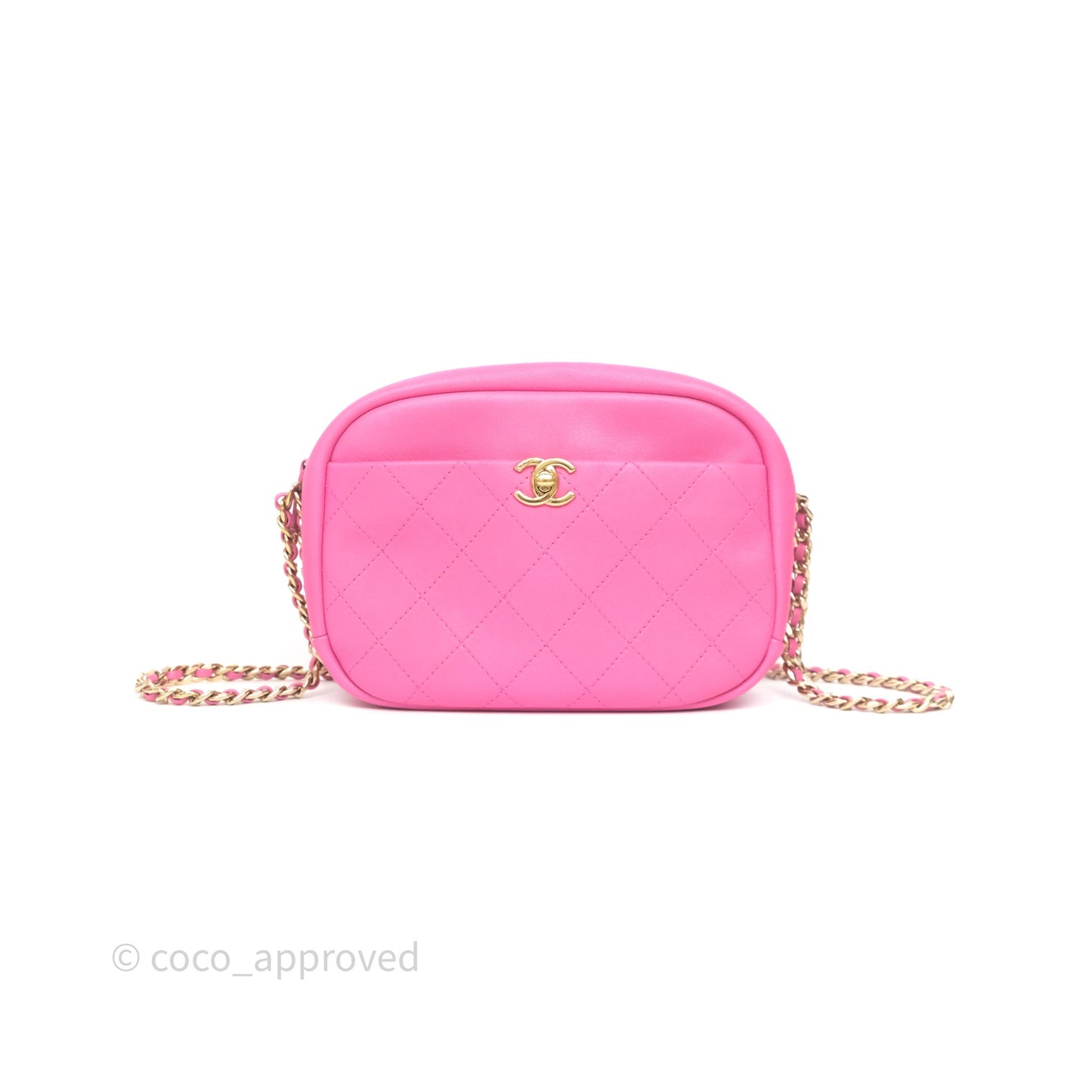 Chanel Camera Bag Pink Calfskin Aged Gold Hardware