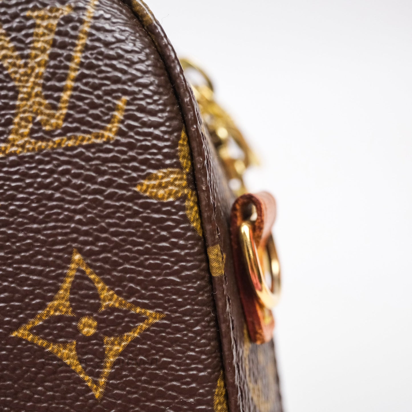 Louis Vuitton Monogram Spontini 2way Bag