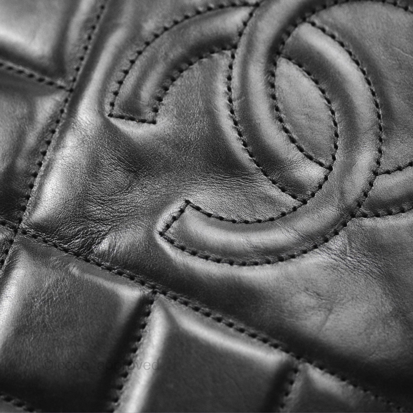 Chanel Large Ballerine Camera Case Black Calfskin Ruthenium Hardware