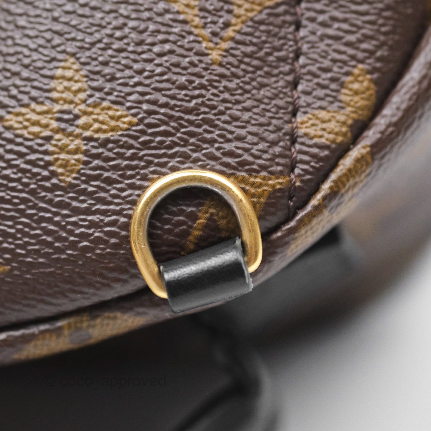 Louis Vuitton Monogram Mini Palm Springs Backpack⁣