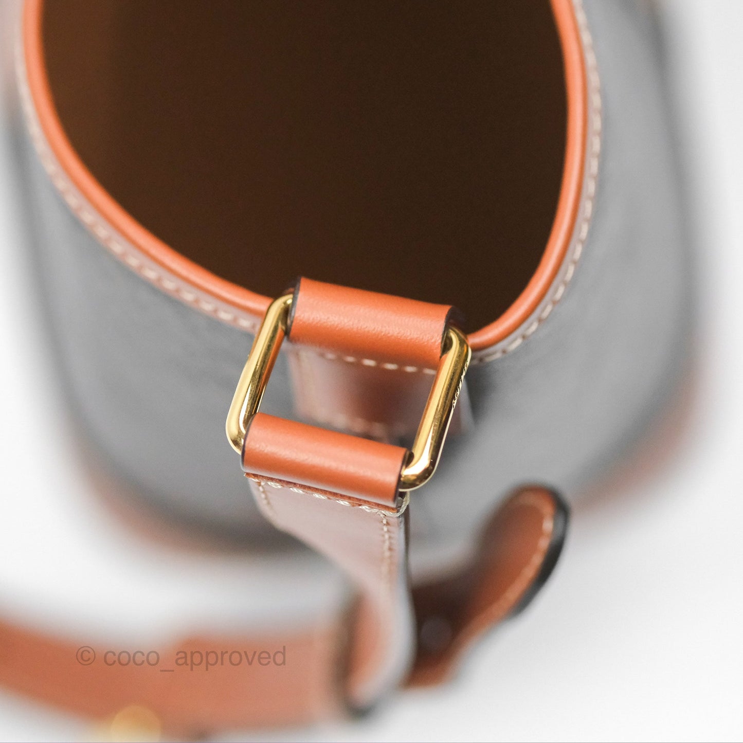 Celine Small Bucket Triomphe Canvas Tan Calfskin