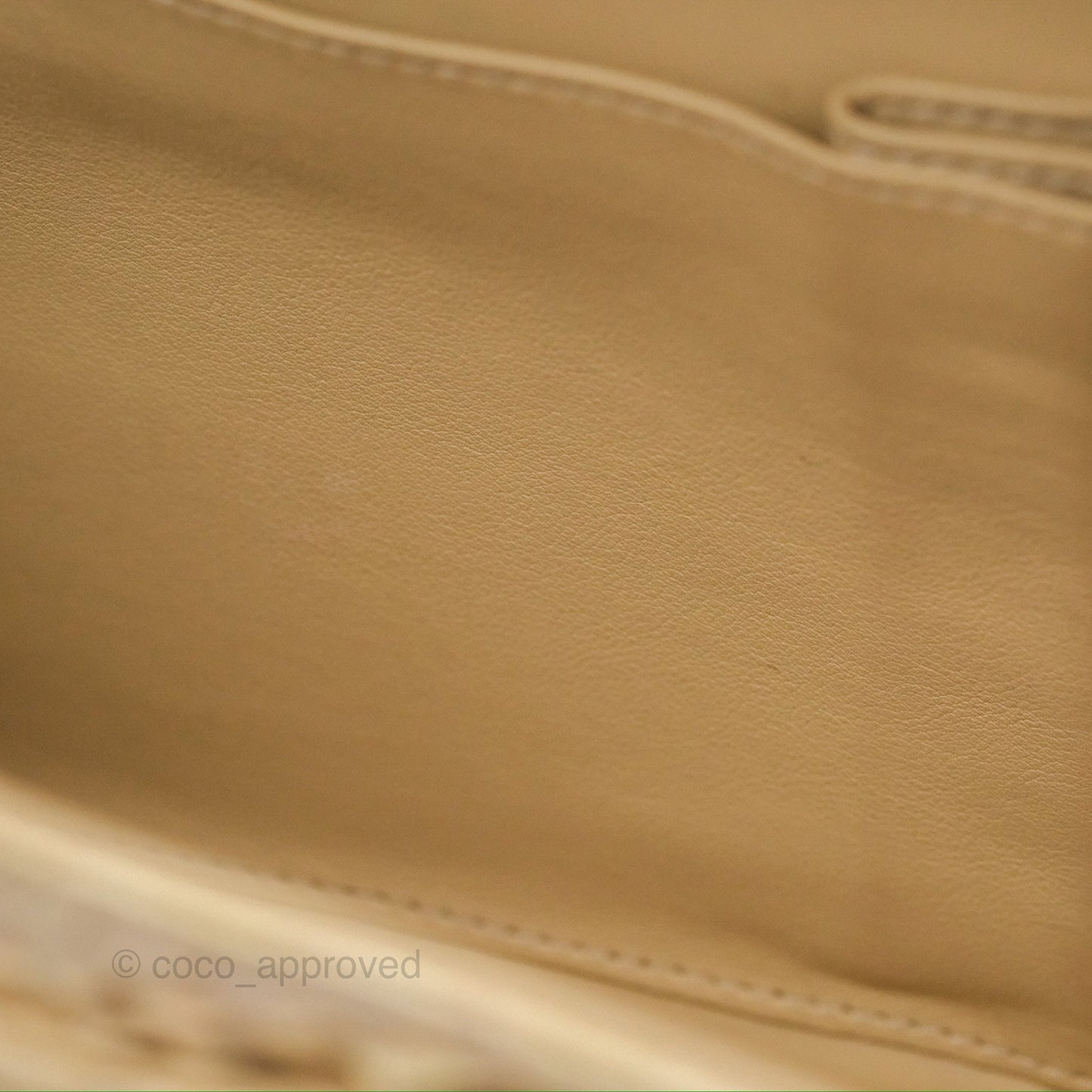 Chanel Jumbo Double Flap Iridescent Gold Python Gold Hardware⁣⁣