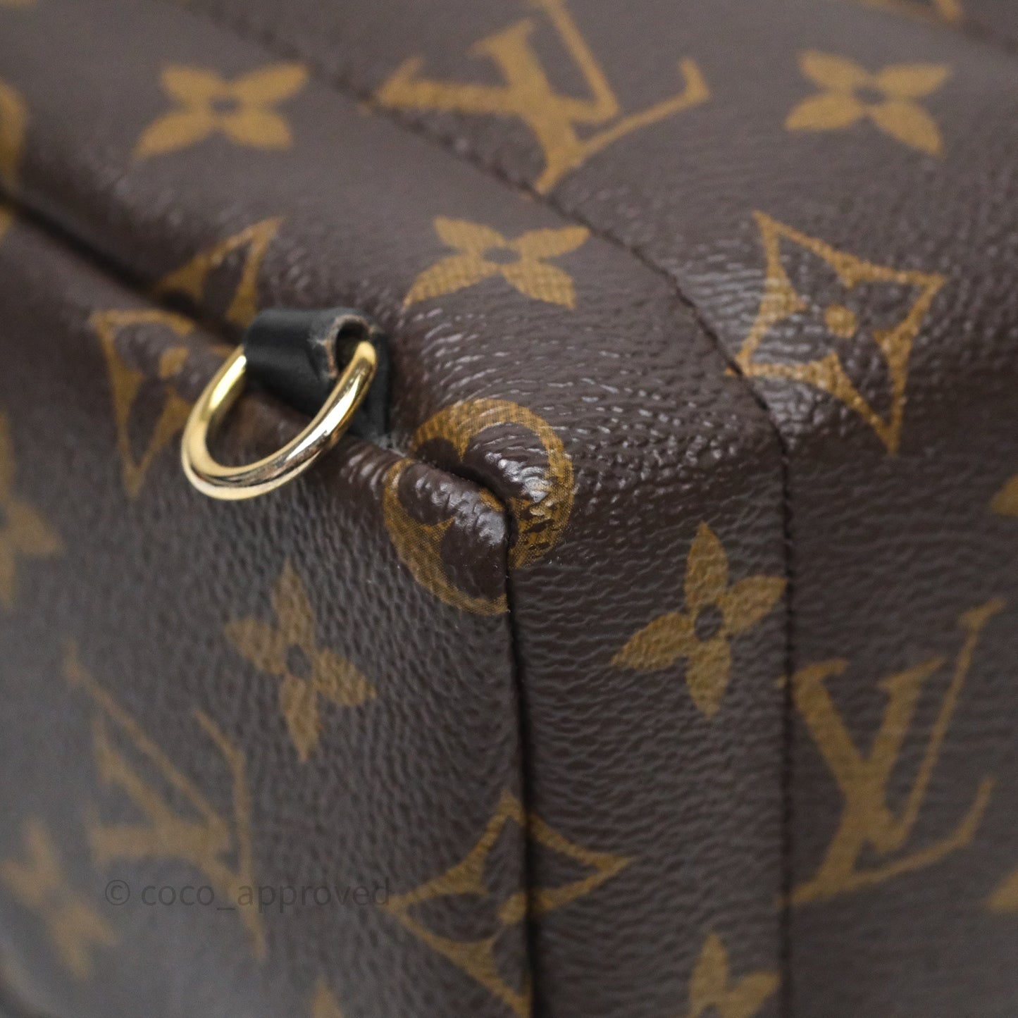 Louis Vuitton Mini Palm Springs Backpack⁣ Monogram