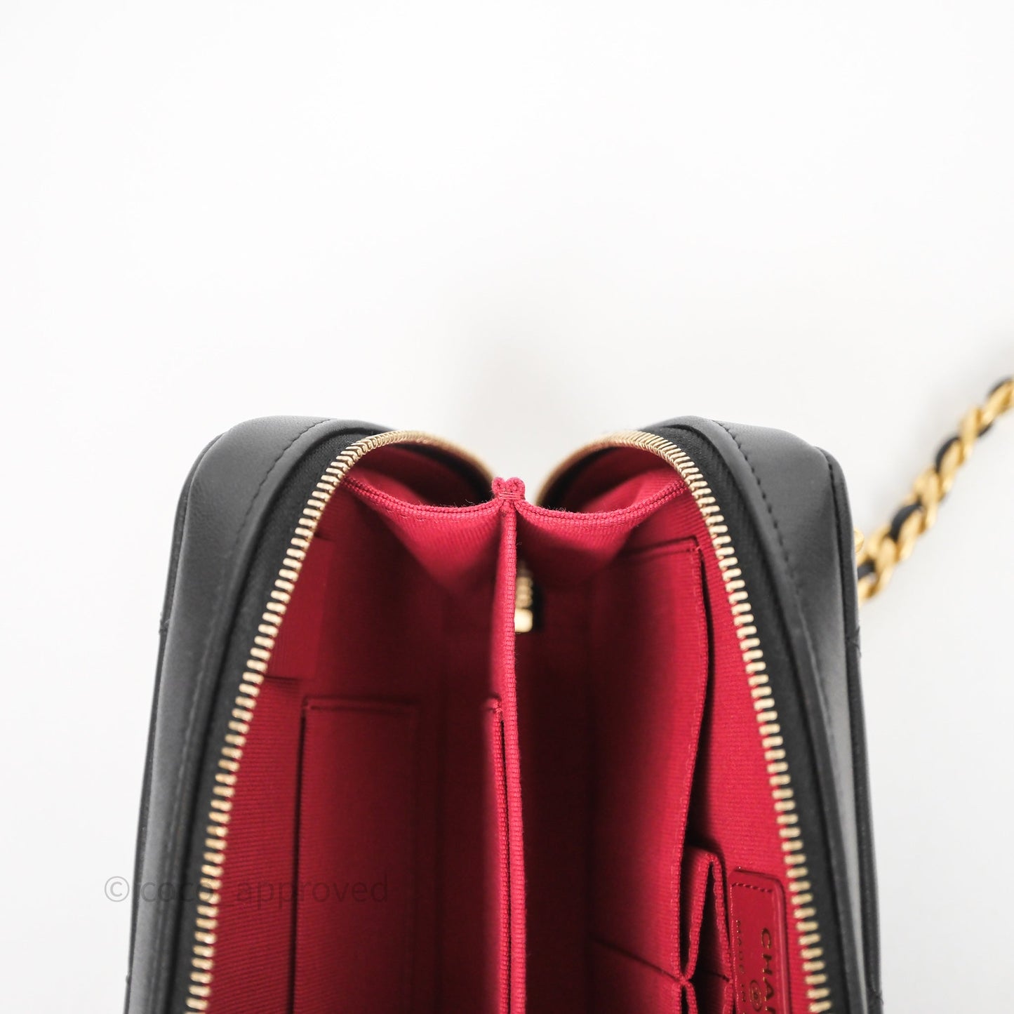 Chanel 19 Camera Bag Black Lambskin Mixed Hardware