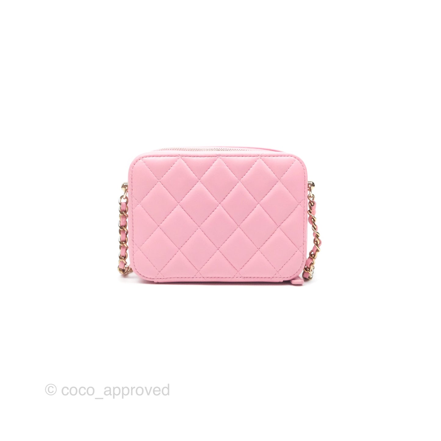 Chanel Camera Case Quilted Pink Lambskin Gold Hardware