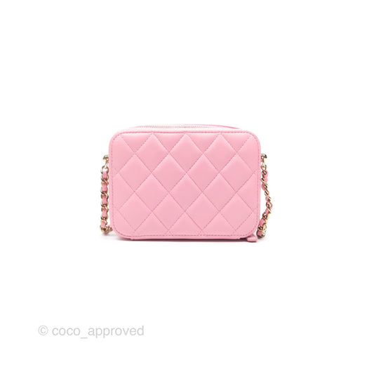 Chanel Camera Case Quilted Pink Lambskin Gold Hardware