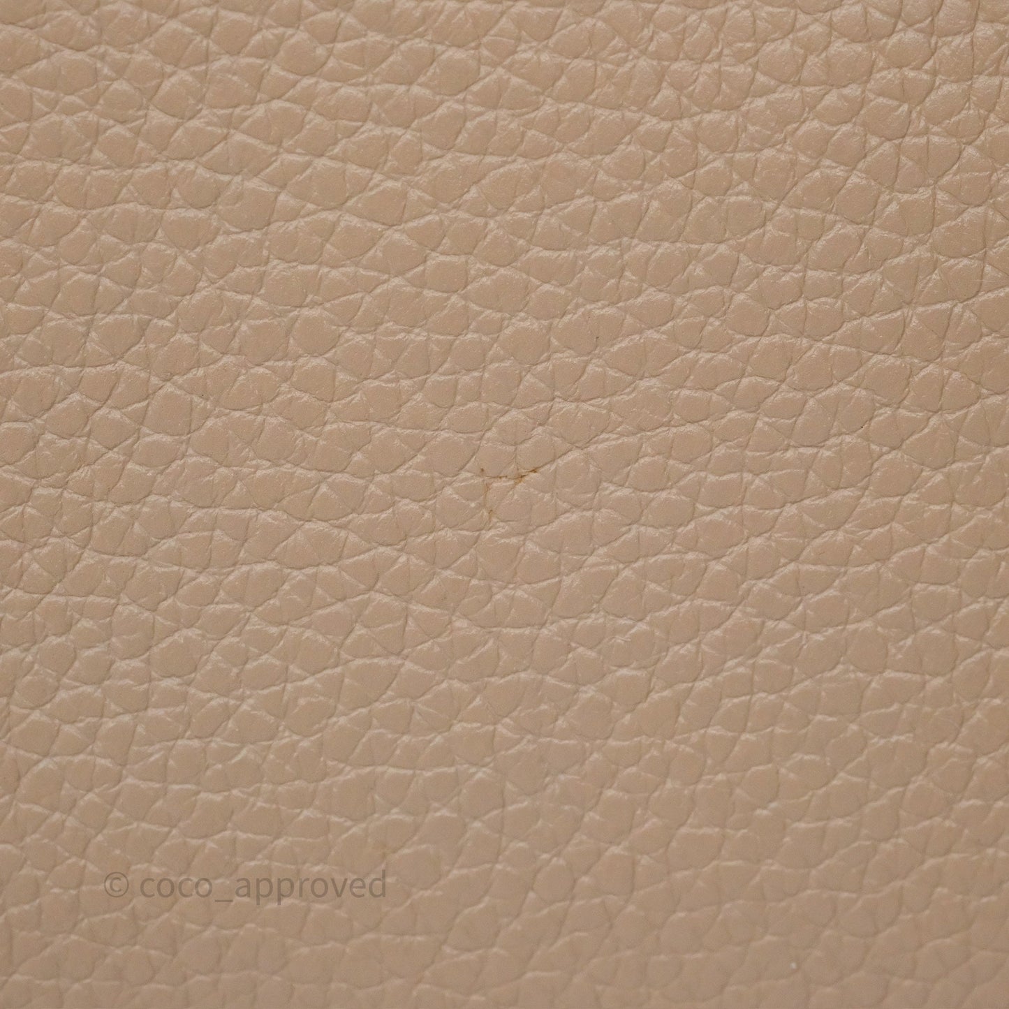 Louis Vuitton Capucines BB Taurillon Leather Galet