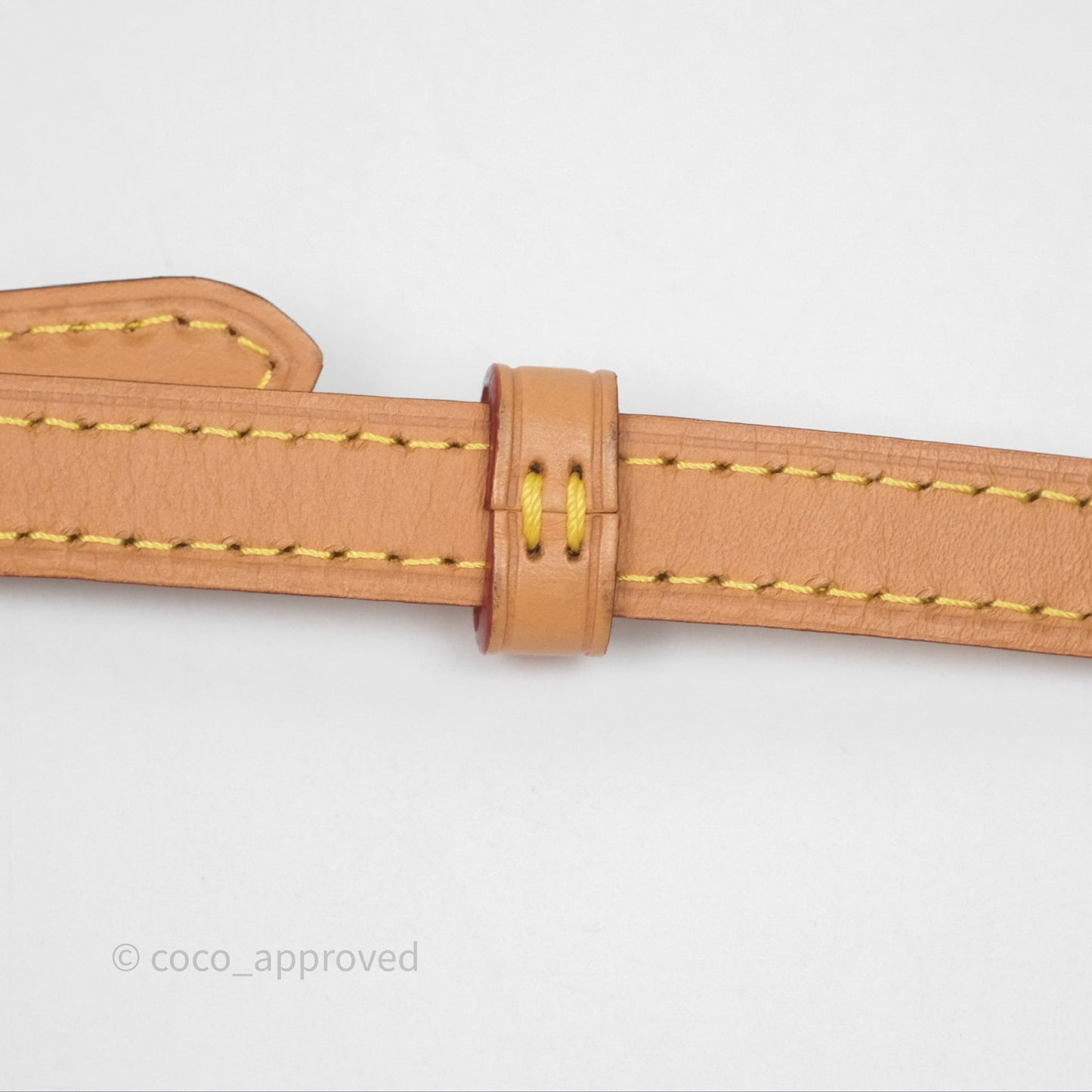Louis Vuitton Nano Noe Monogram