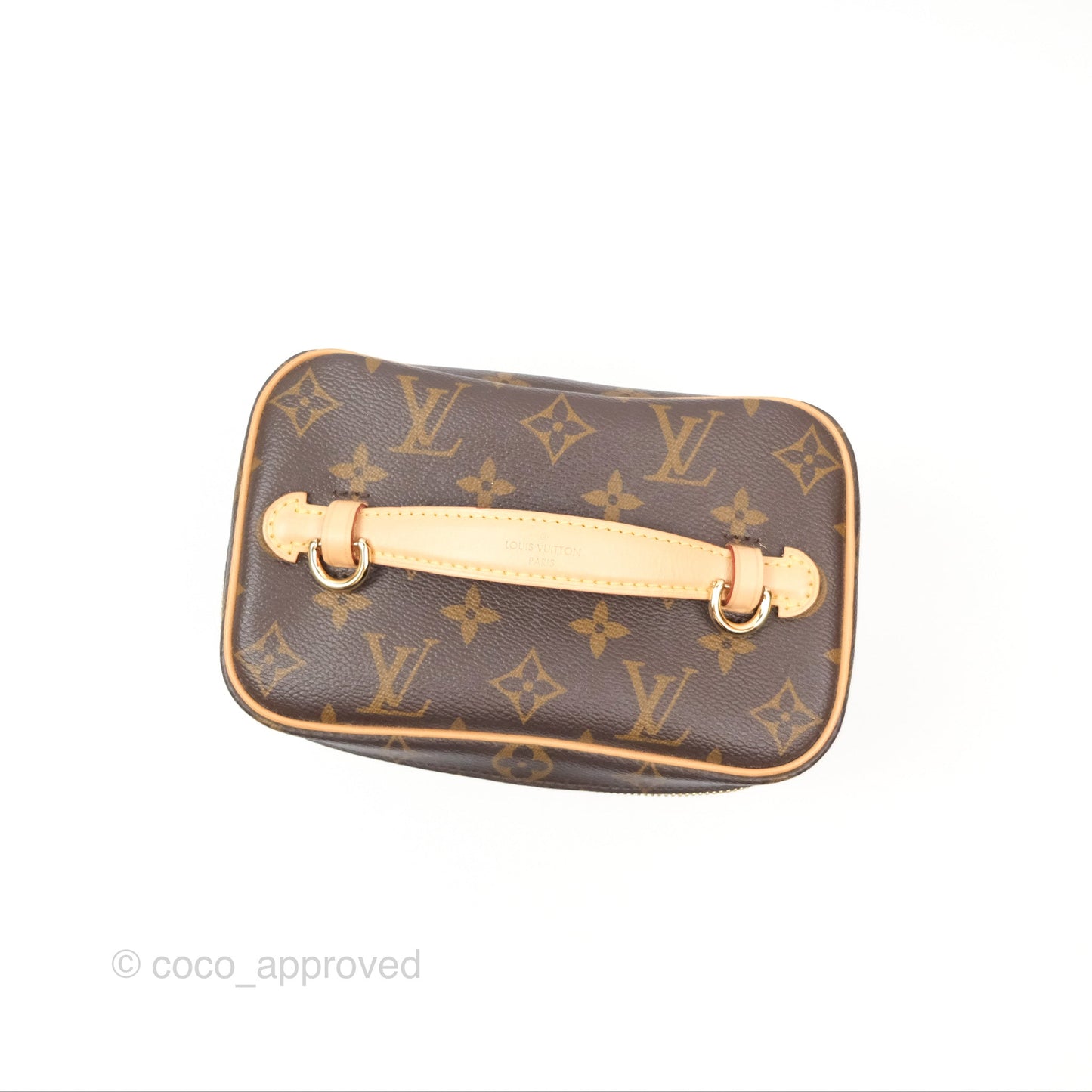 Louis Vuitton Monogram Nice Mini
