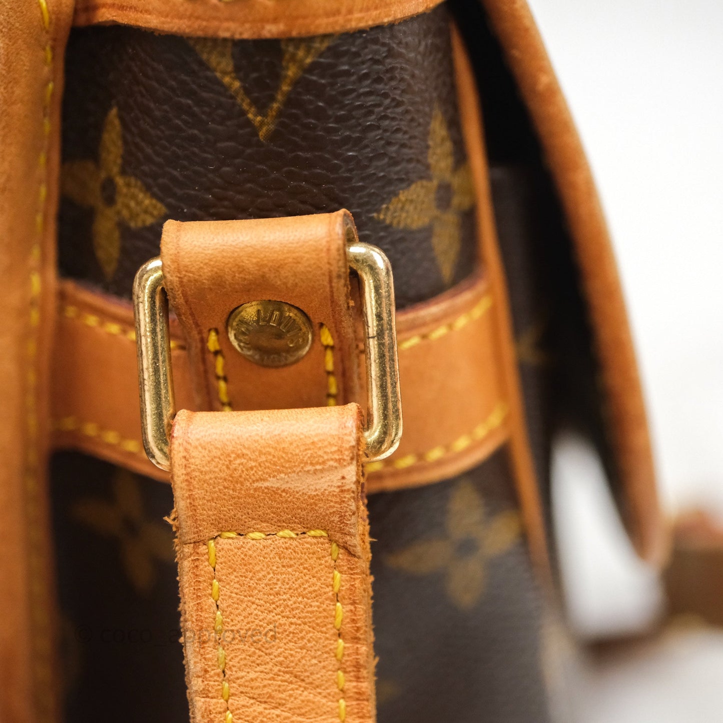 Louis Vuitton Vintage Diane Bag Monogram Canvas