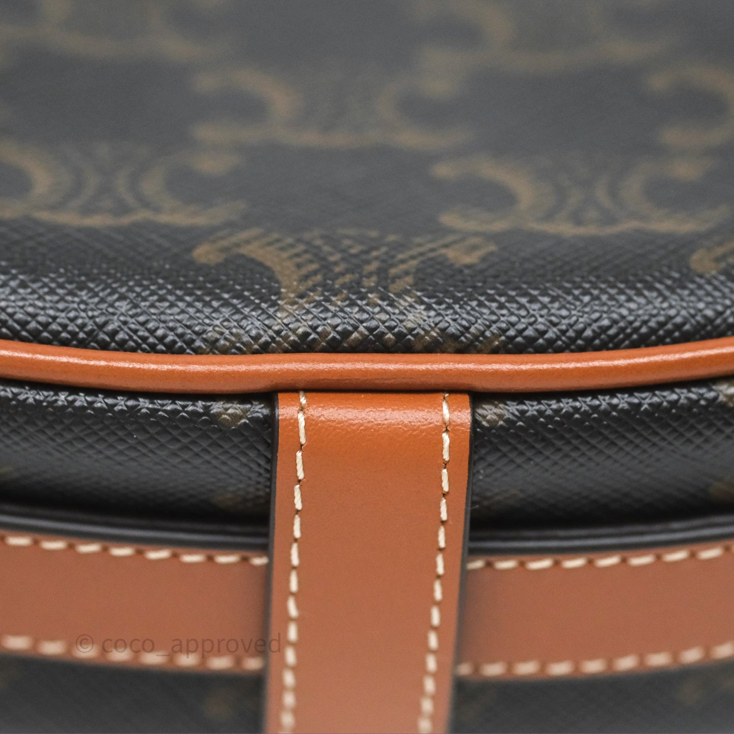 Celine Mini Ava Bag In Triomphe Canvas Calfskin Tan