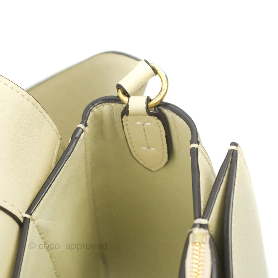Celine Frame Bag Light Green