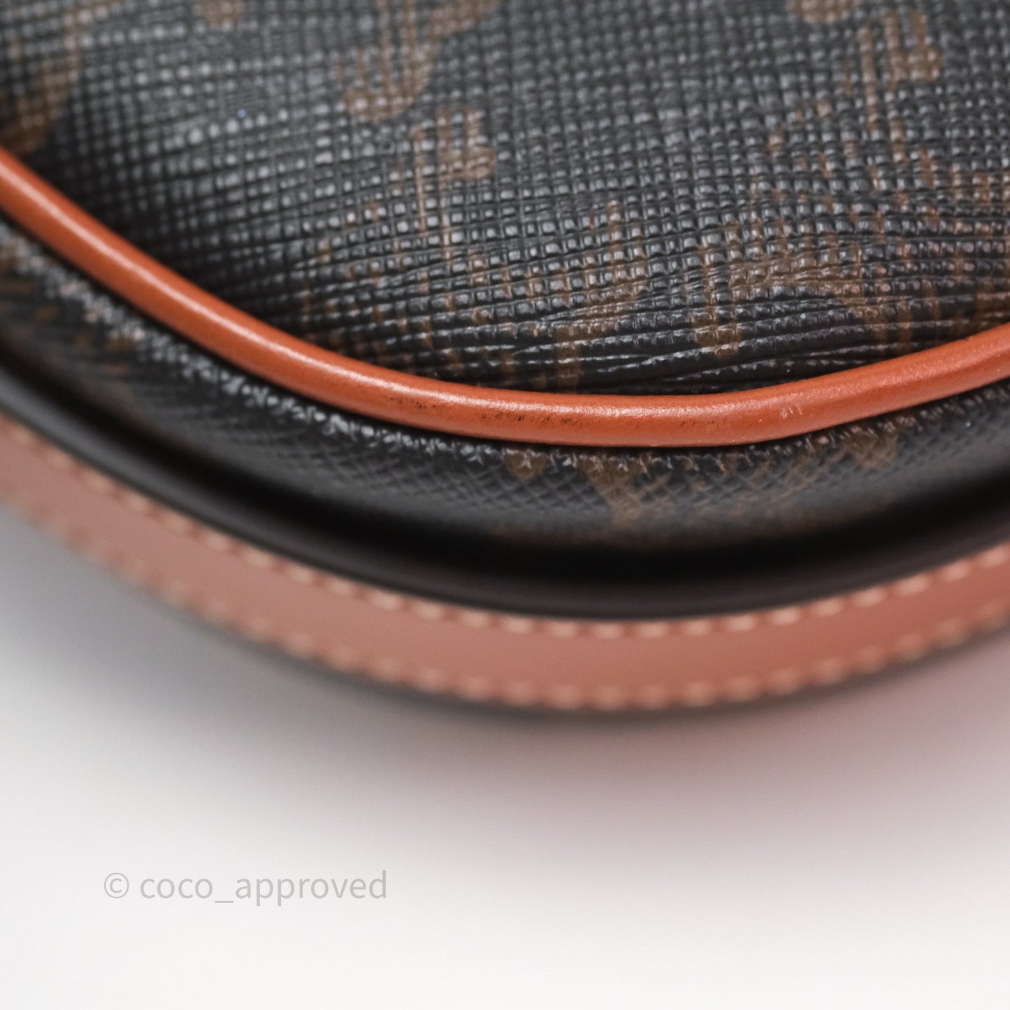 Celine Mini Ava Bag In Triomphe Canvas Calfskin Tan