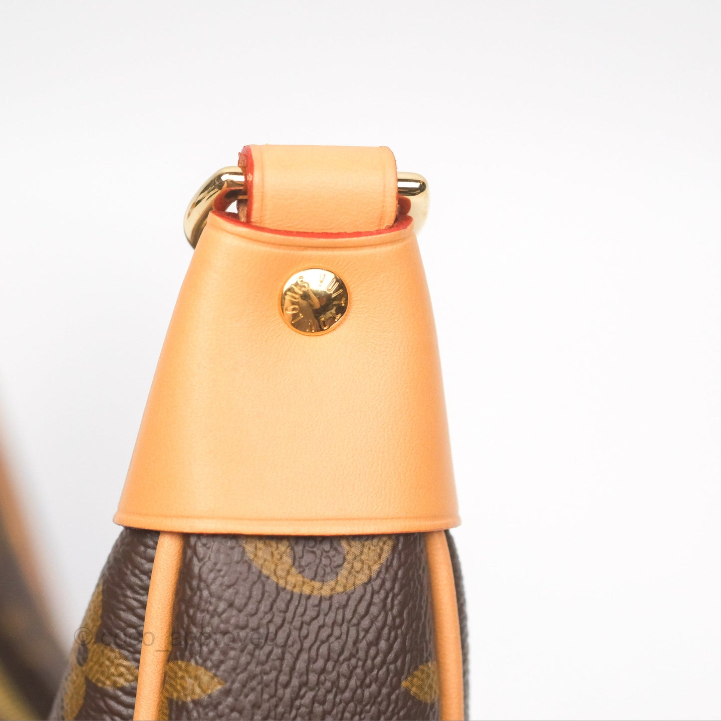 Louis Vuitton Loop Monogram Canvas