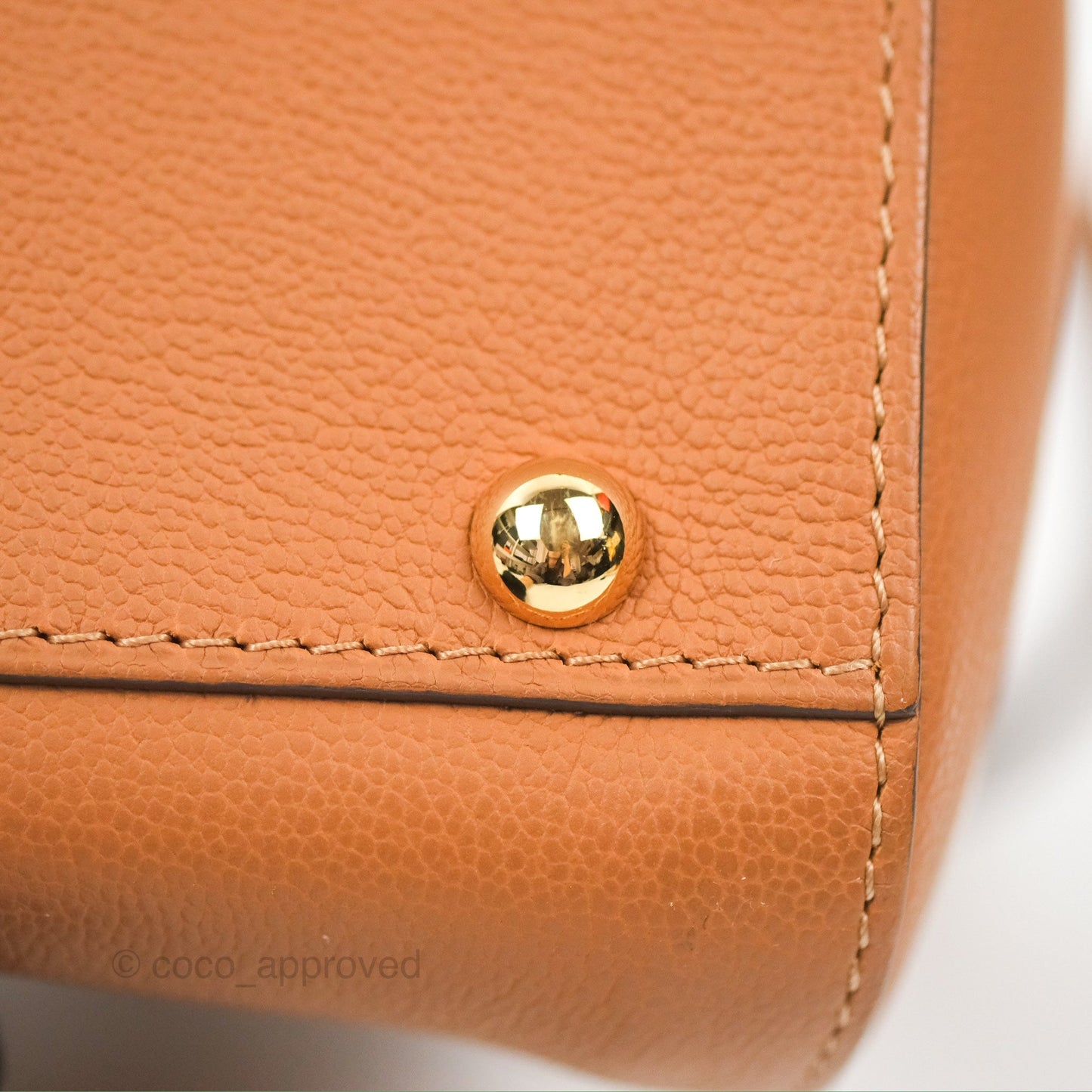 Delvaux Mini Brillant Bag Vegetal Rodeo Calf Gold Hardware