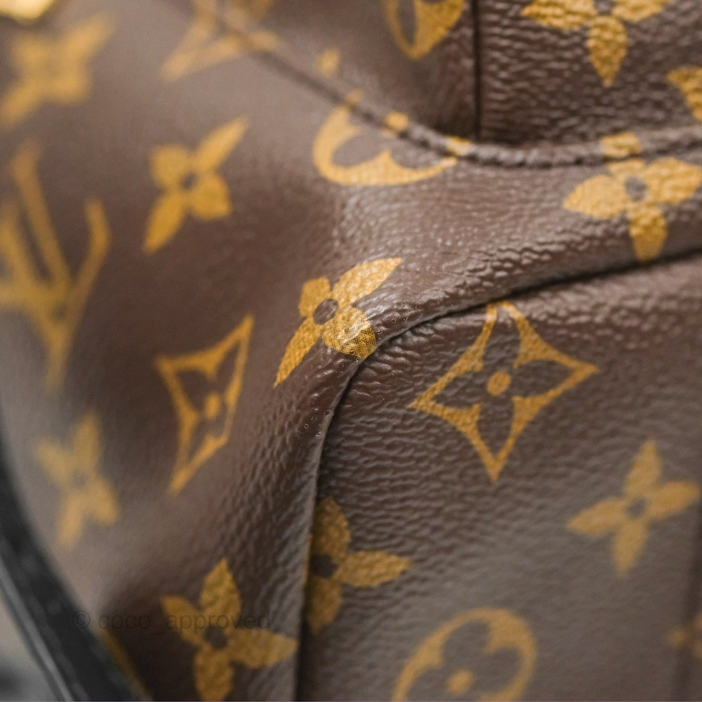 Louis Vuitton Palm Springs Backpack⁣ Monogram PM