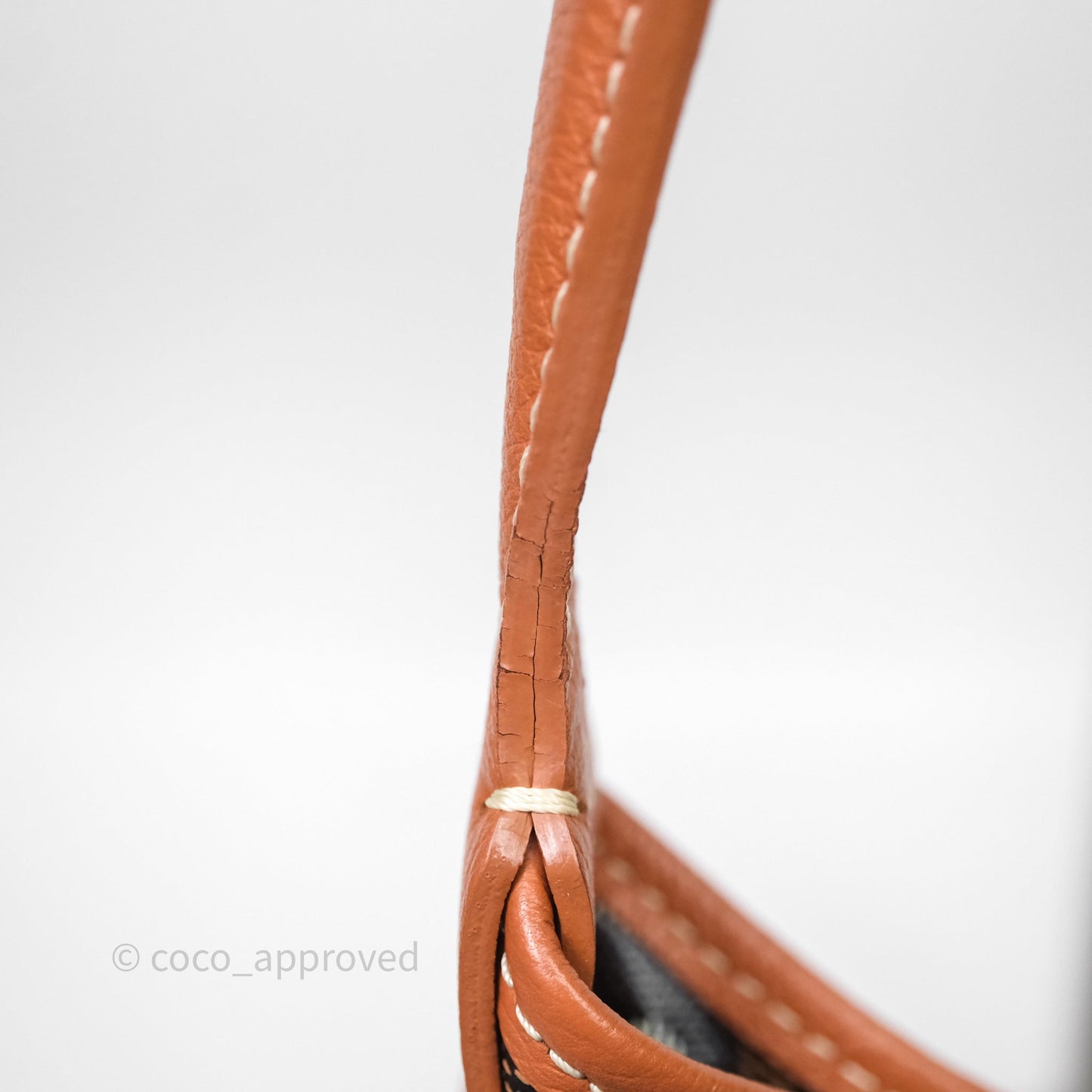 Goyard Bohème Hobo Bag Black & Tan