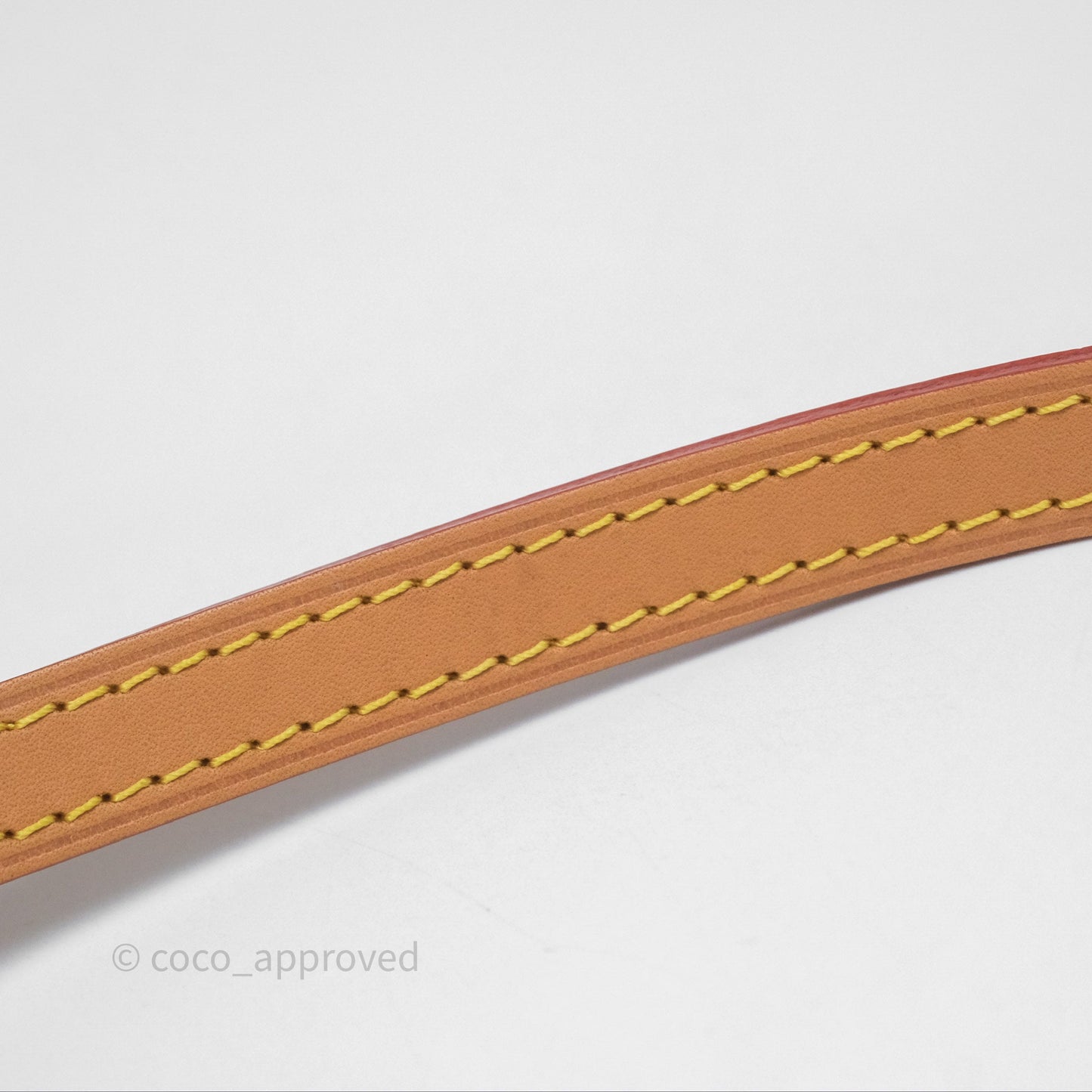 Louis Vuitton Nano Noe Monogram