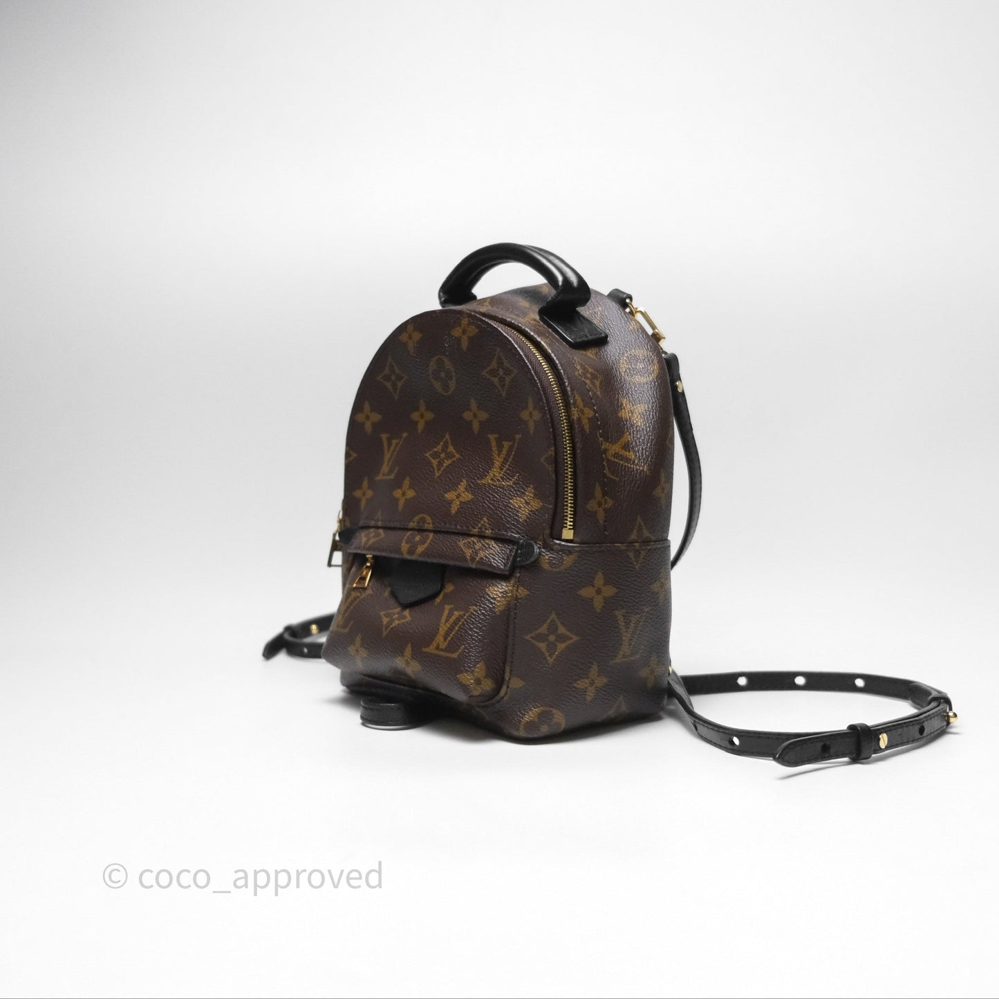 Louis Vuitton Monogram Mini Palm Springs Backpack⁣