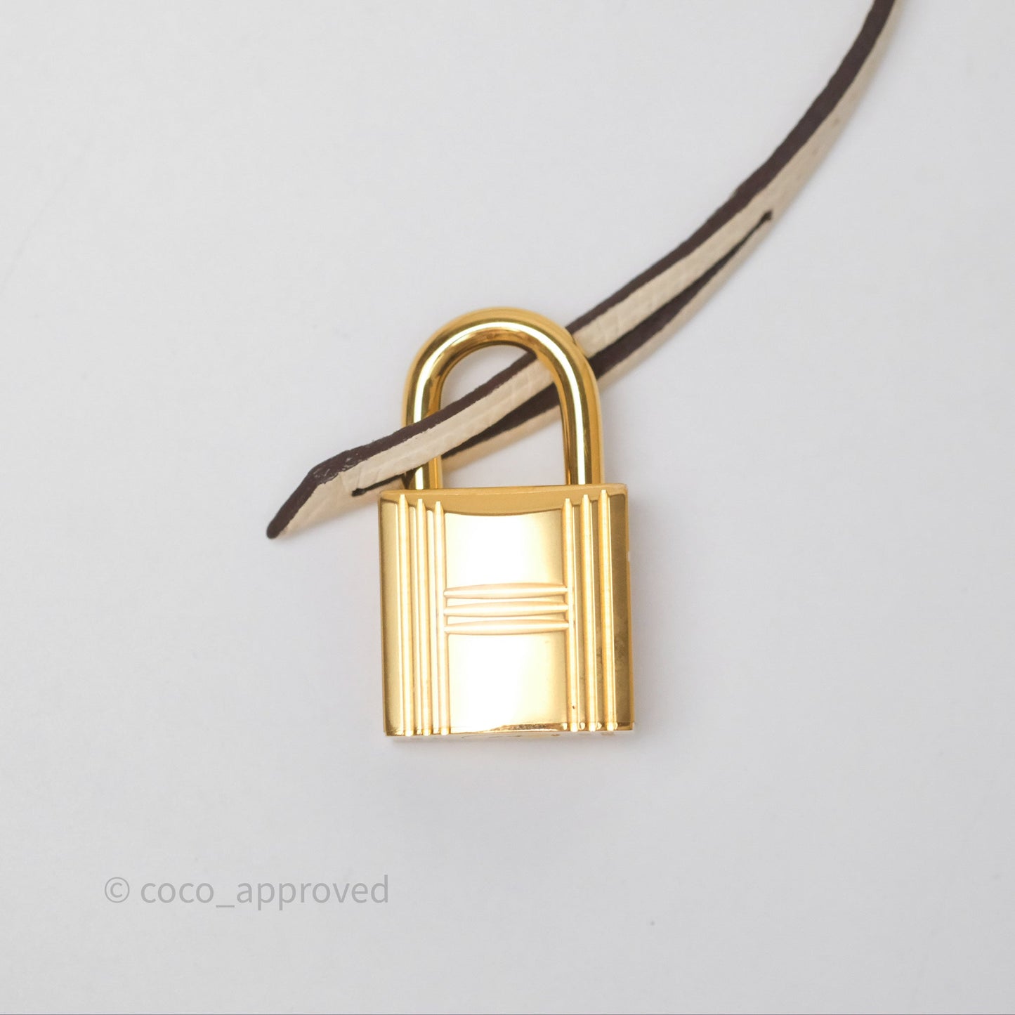 Hermès Birkin 25 Sellier Nata I2 Epsom Gold Hardware