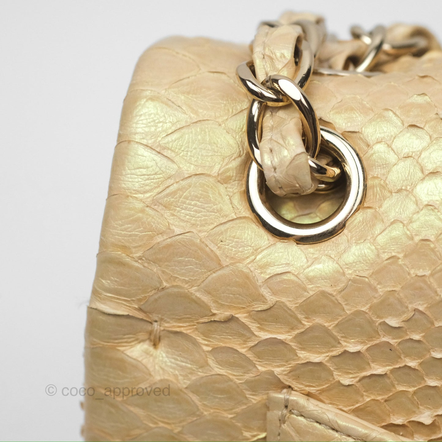 Chanel Jumbo Double Flap Iridescent Gold Python Gold Hardware⁣⁣