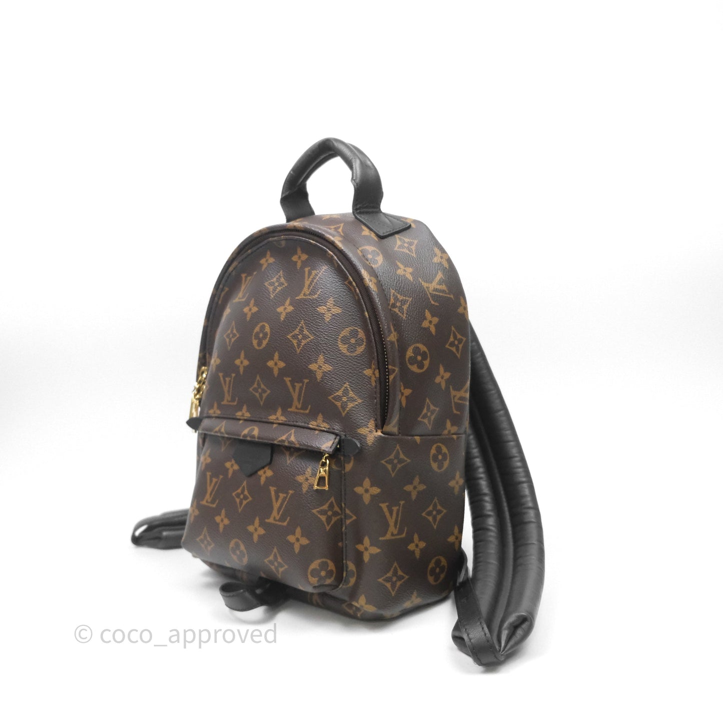 Louis Vuitton Palm Springs Backpack⁣ Monogram PM