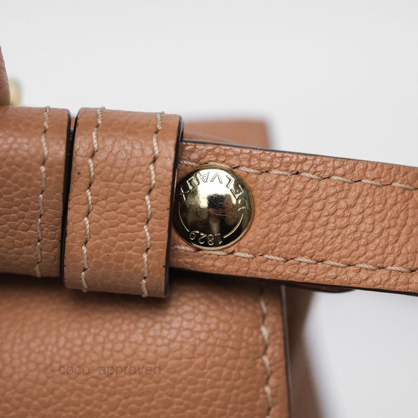 Delvaux Mini Brillant Bag Nude Grained Calfskin Gold Hardware