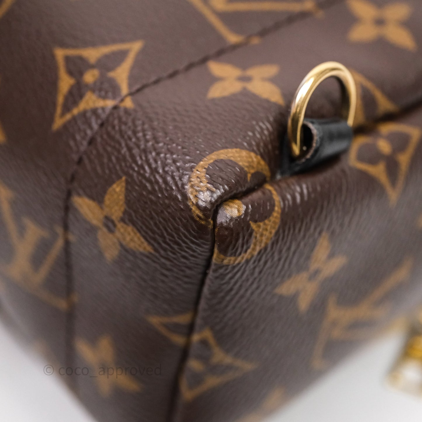 Louis Vuitton Mini Palm Springs Backpack⁣ Monogram