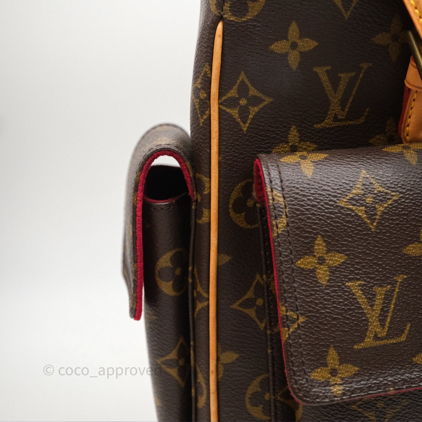 Louis Vuitton Multipli-Cite Tote Monogram Canvas