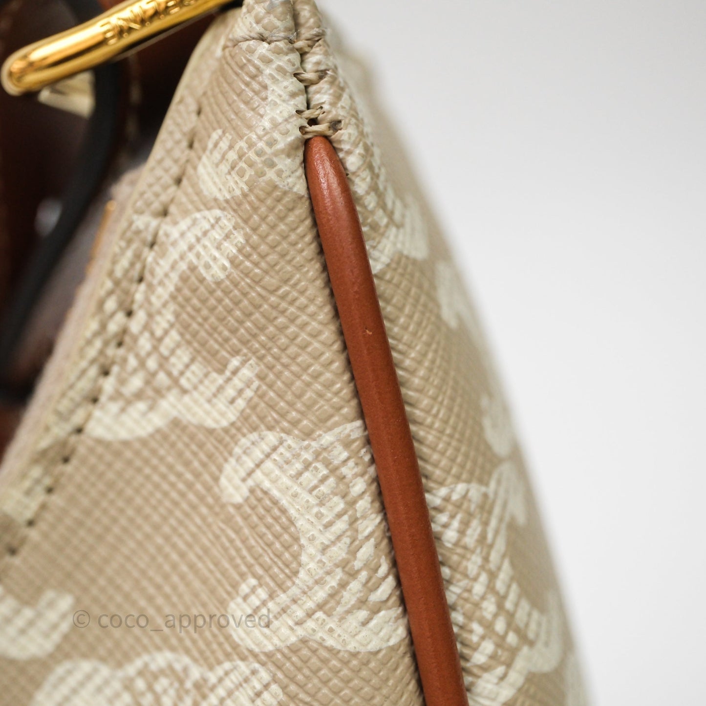 Celine Ava Bag In Triomphe Canvas Calfskin Grege