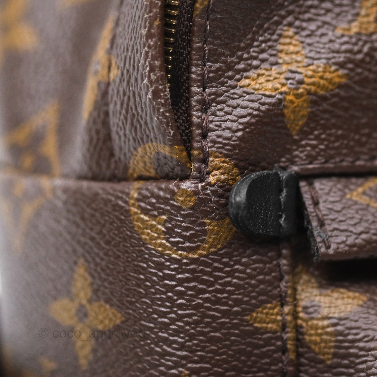 Louis Vuitton Monogram Mini Palm Springs Backpack⁣