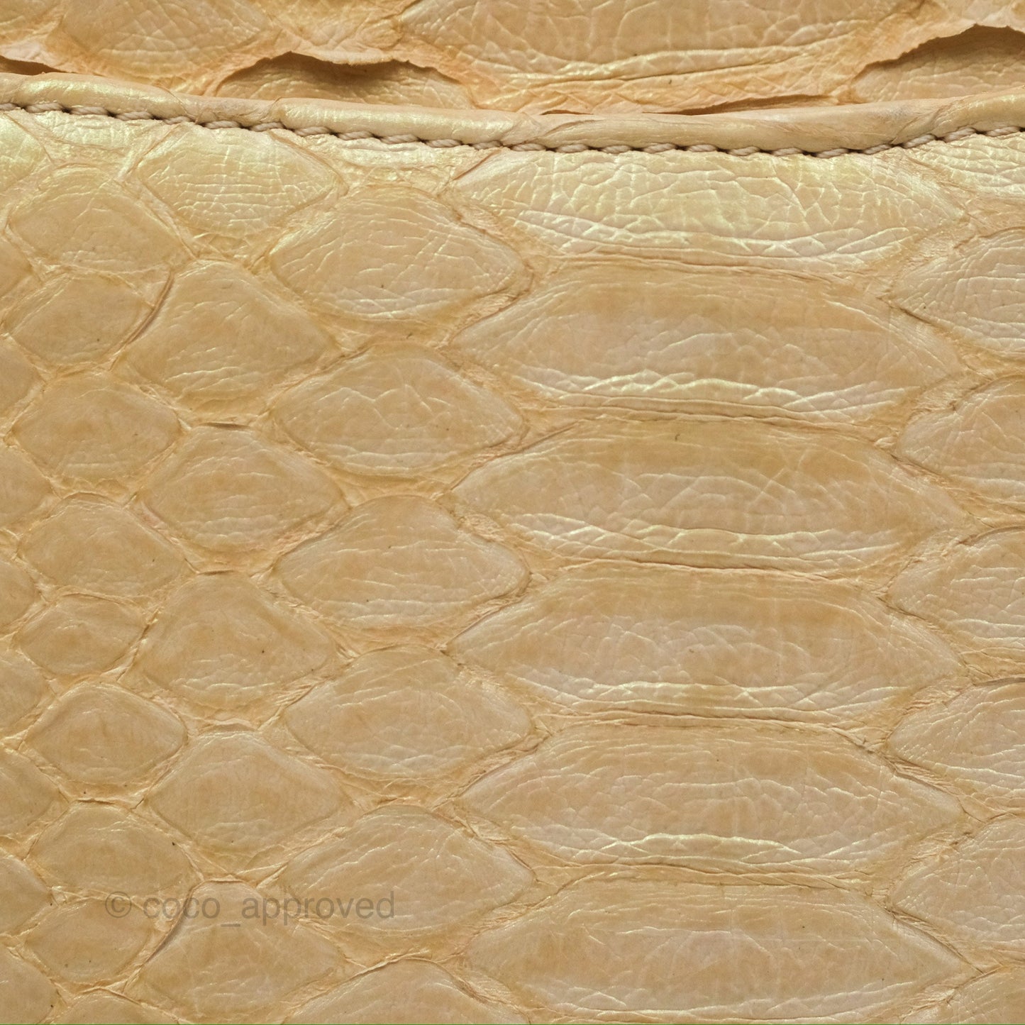Chanel Jumbo Double Flap Iridescent Gold Python Gold Hardware⁣⁣
