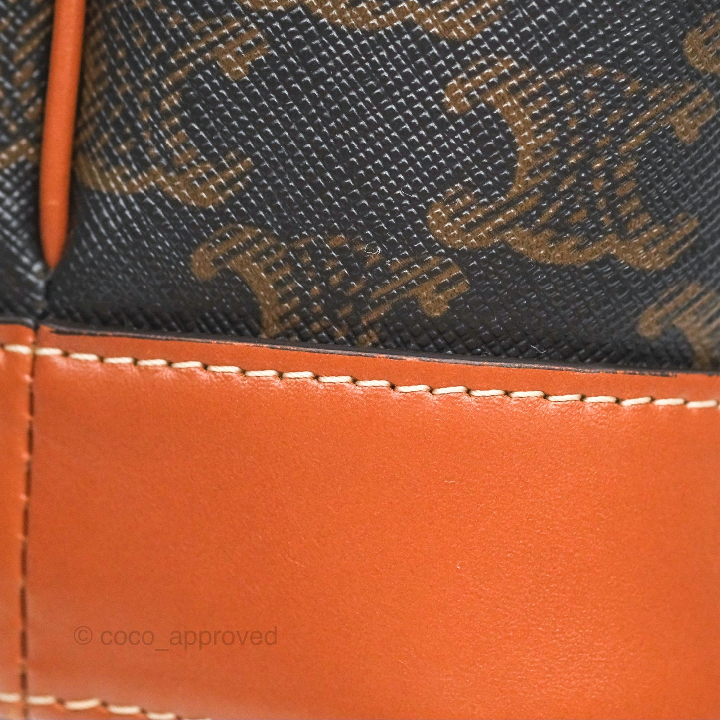 Celine Small Bucket Triomphe Canvas Tan Calfskin