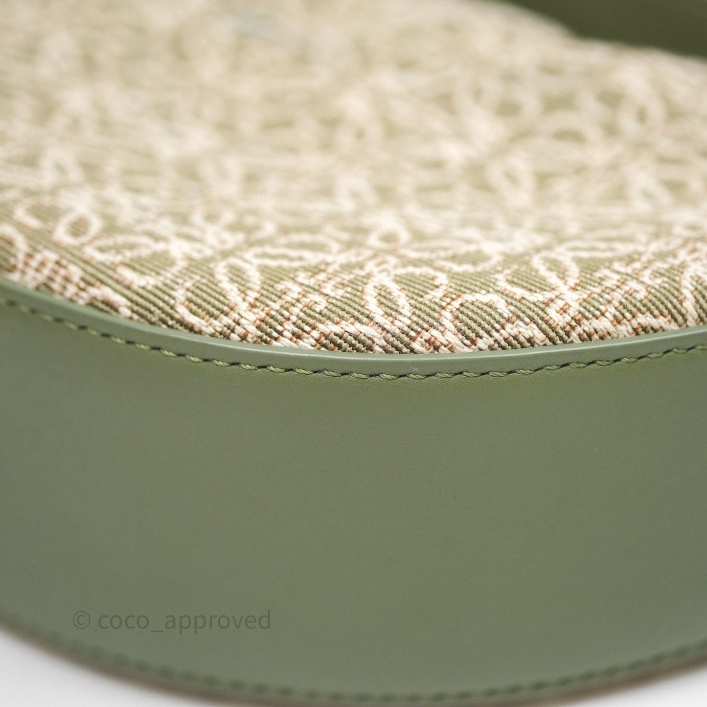 Loewe Small Luna Anagram Shoulder Bag Green Calfskin Jacquard