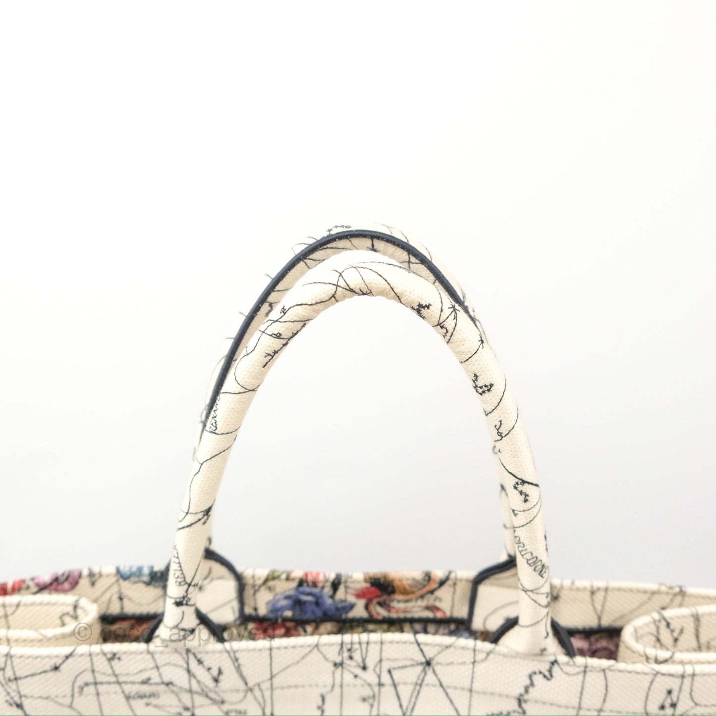 Christian Dior Large Zodiac Book Tote Bag