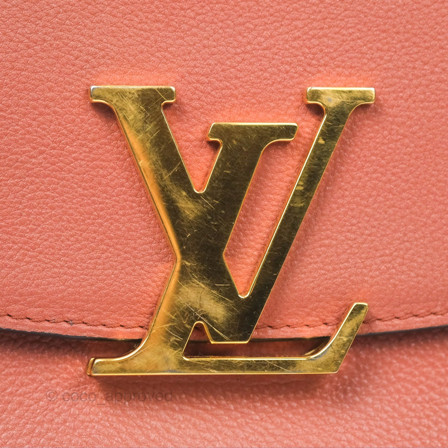 Louis Vuitton Vivienne Bag Brick Red Black