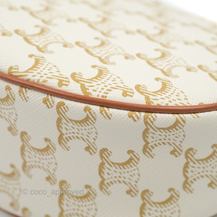 Celine Ava Bag In Triomphe Canvas Calfskin White