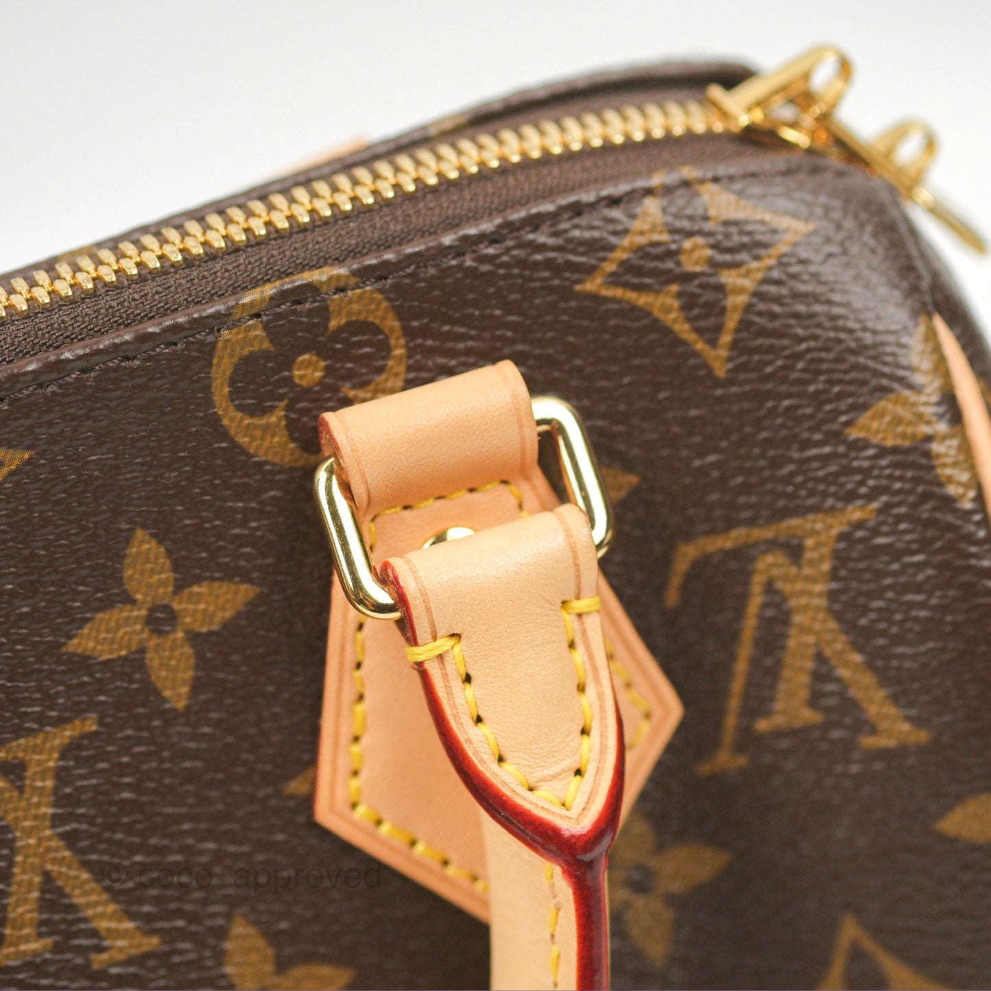 Louis Vuitton Speedy Bandoulière 20 Monogram