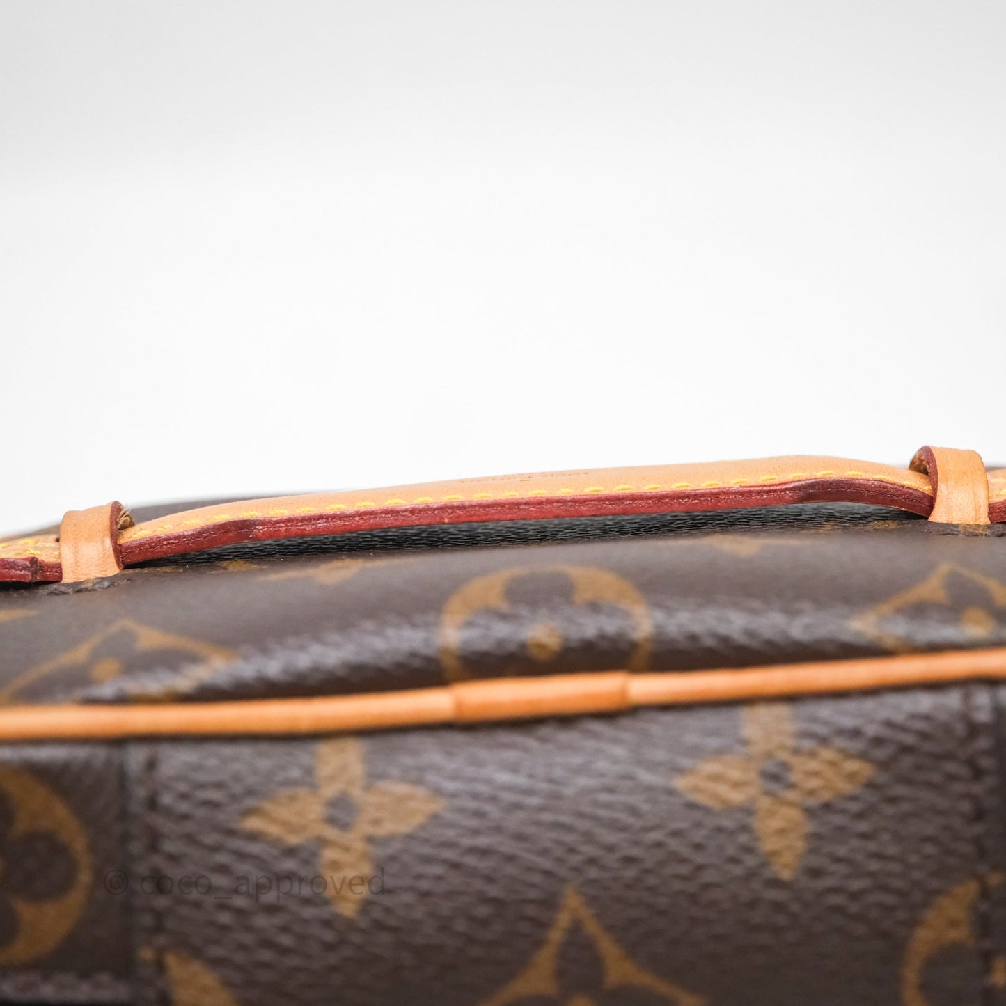 Louis Vuitton Nice Nano Monogram Canvas