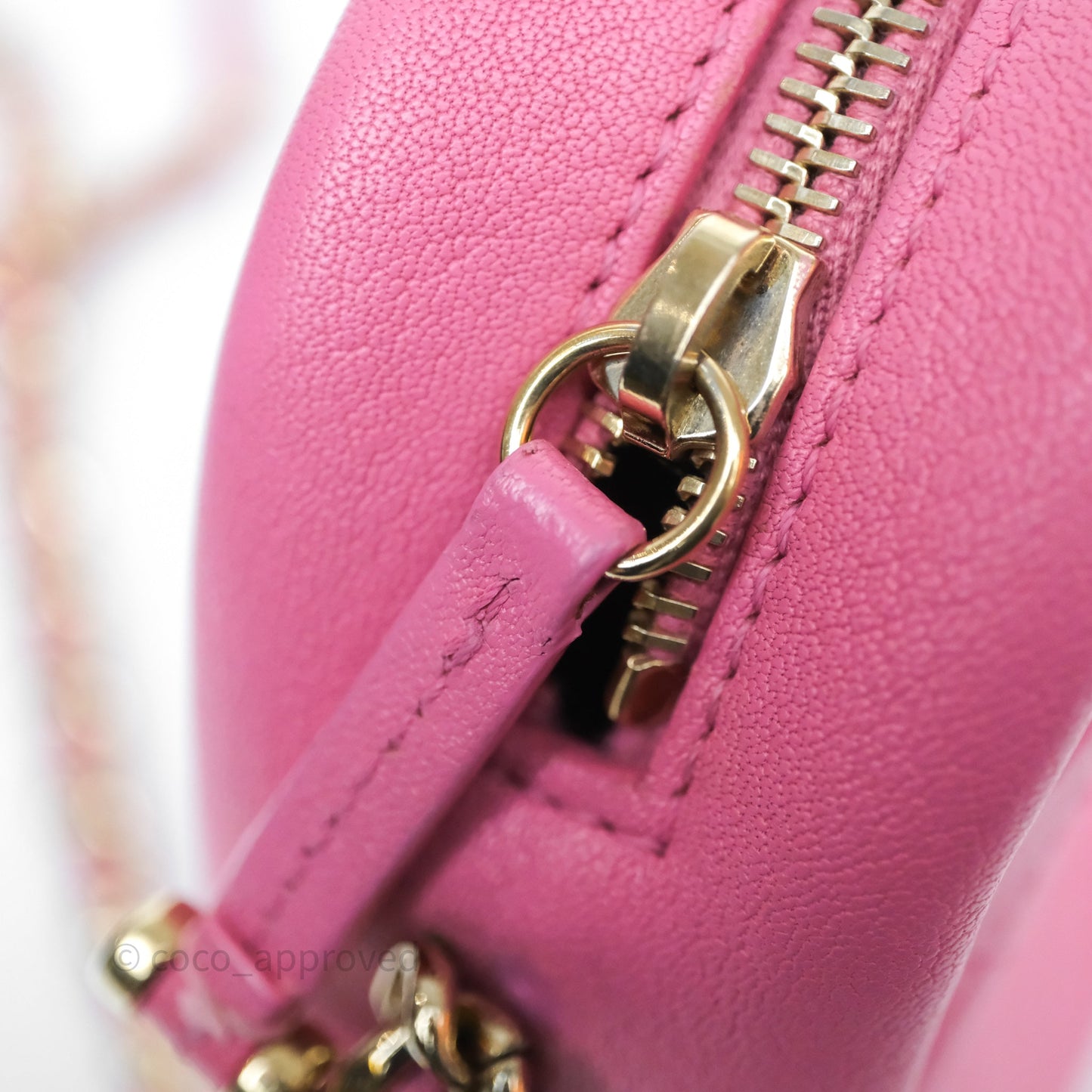 Chanel Camera Bag Pink Calfskin Aged Gold Hardware