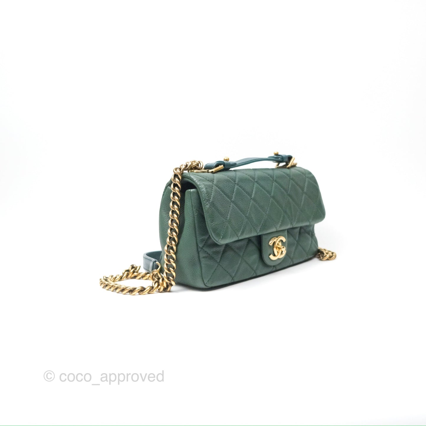 Chanel Globe Trotter Flap Bag Dark Green Caviar Aged Gold Hardware