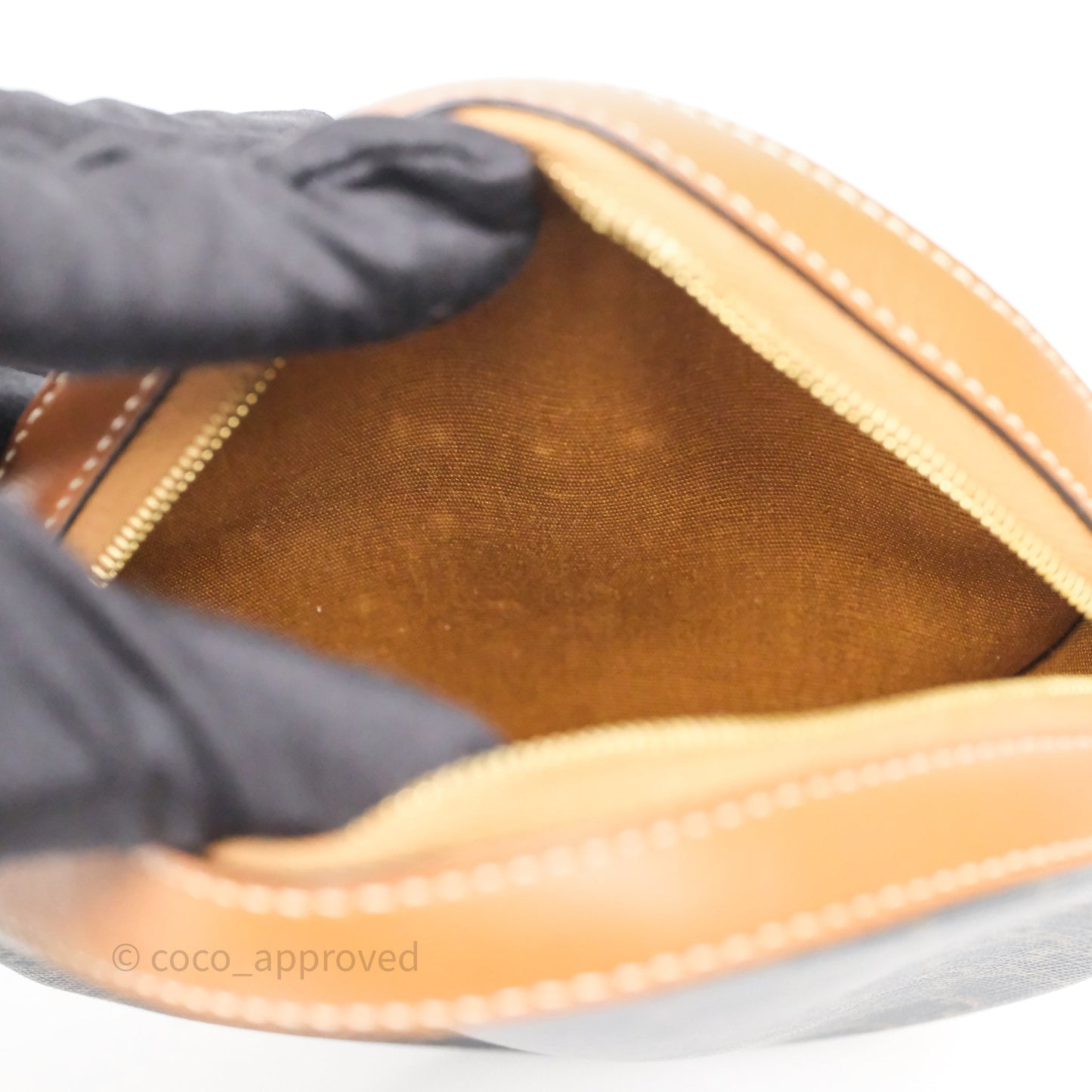 Celine Round Purse on Strap Triomphe Canvas Tan