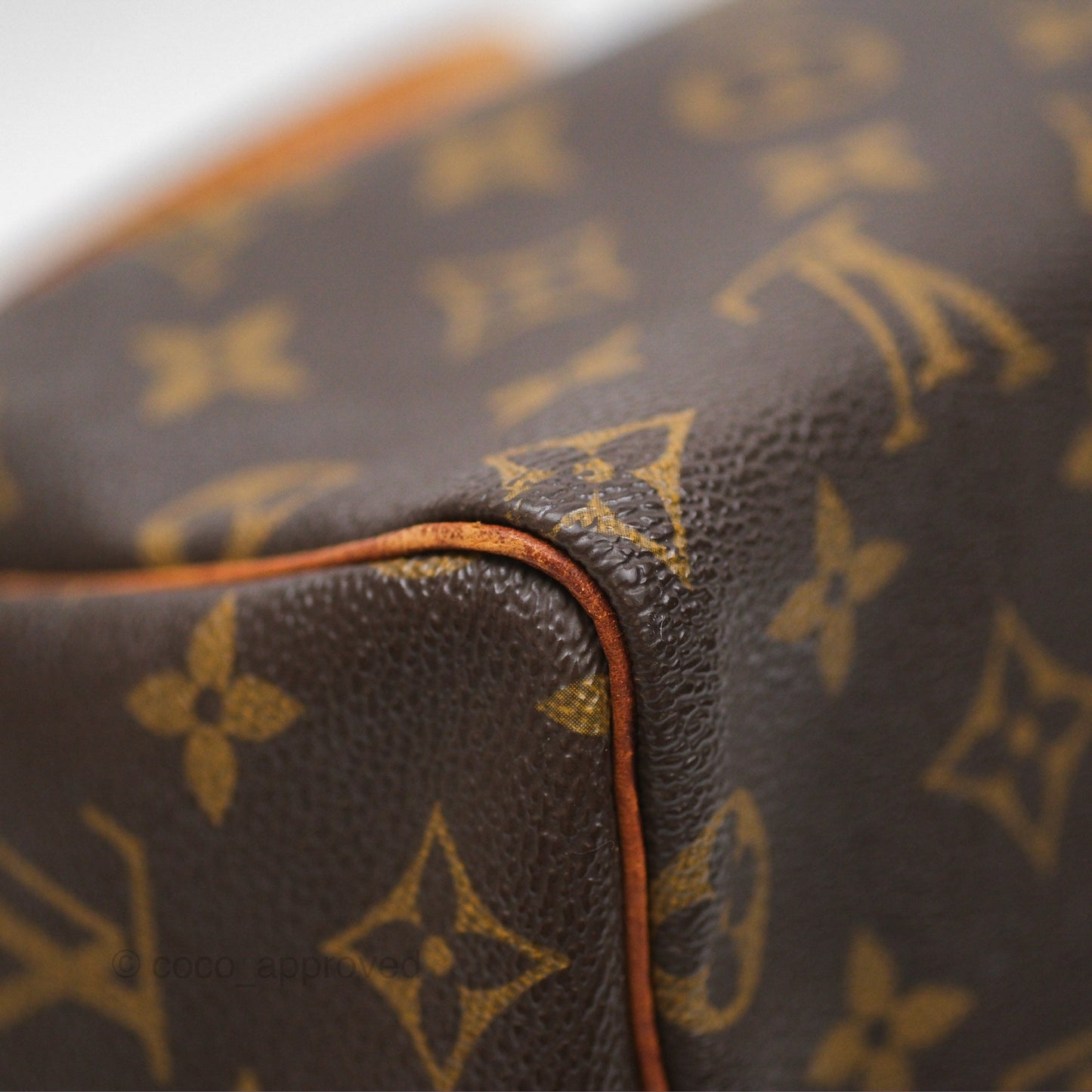 Louis Vuitton Vintage Speedy 25 Monogram Canvas